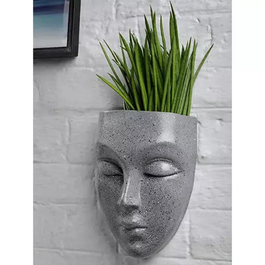 Wall hanging Planter Mask for Garden & Balcony